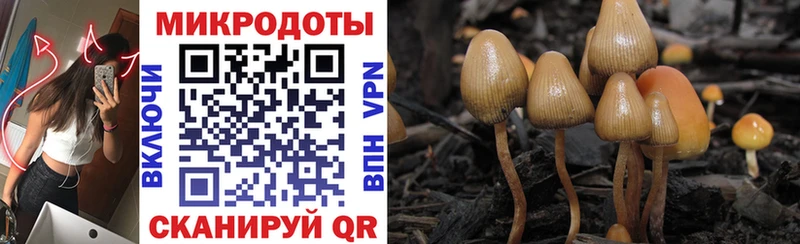Псилоцибиновые грибы ЛСД  KRAKEN вход  Вольск 